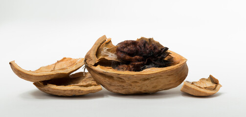 Walnuts are rounded, single-seeded stone fruits of the walnut tree. A spoiled, rotten, broken fruit.