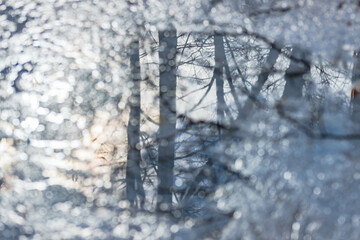 Puddle reflection of trees and sky with sun, winter abstract perspective, design background texture for web design, art.