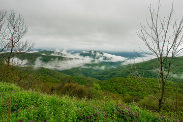clouds in the mountains
