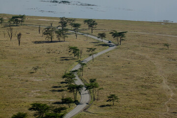road in savanna landscape