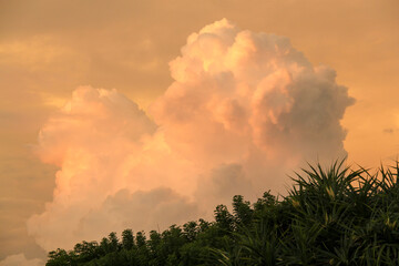 Orange clouds