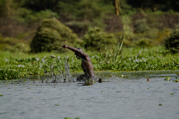African fisherman