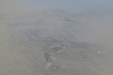 A foot print in the wet sand
