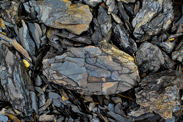 Shale rocks on shore of Mohawk River