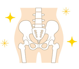 Pelvis in correct position and posture.