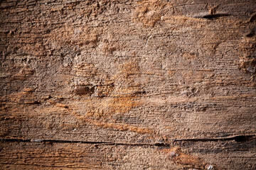 Texture old wood background.