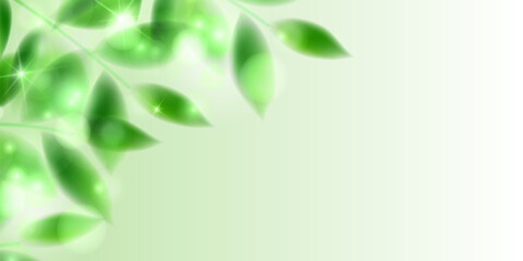 Obraz premium 新緑 葉 風景 背景