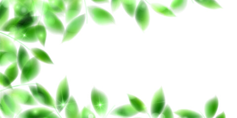 新緑　葉　風景　背景
