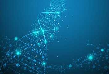 Fototapeta premium Connection concept of fluorescence molecules and DNA is used in medicine and business.on a sparkling blue background