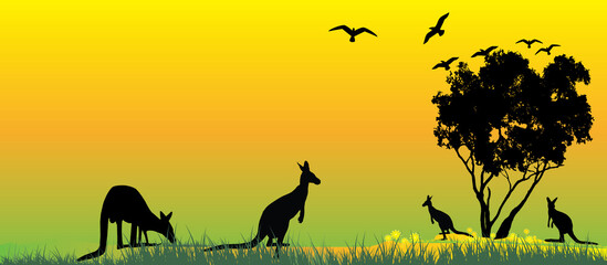 Australia nature silhouette yellow sunset