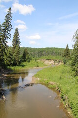 Obraz premium Spring Time On The Creek