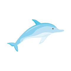 dolphin marine life - obrazy, fototapety, plakaty