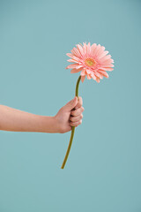 Something to brighten up your day. A little girls hand presenting a flower while isolated.