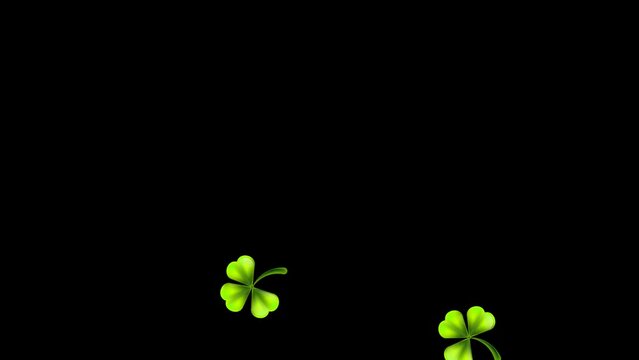 St. Patrick's day holiday concept Retro Style Emblem leaf clover. The leaf fall down 2d animation video.