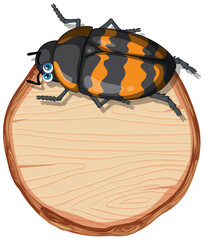 Isolated wooden banner with beetle