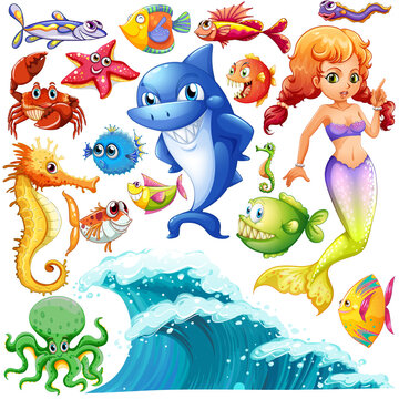Different types of sea animals