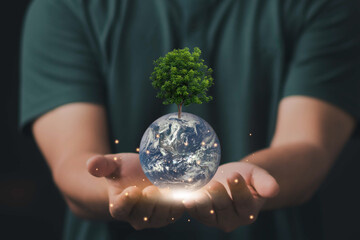 Earth Day.hand holding tree. concept eco earth day.