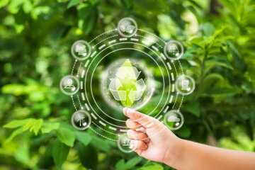 Energy sources for renewable, sustainable development. Ecology concept. Hands protecting globe of the green tree on tropical nature summer background, Ecology and Environment concept design.