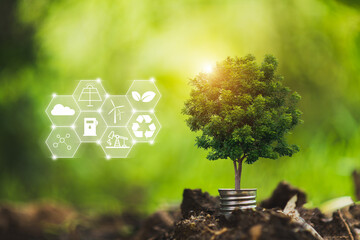 Tree in a light bulb in soil with natural bokeh background. Sustainability icon renewable energy, ecology, environmental protection. Environment and energy resources concept.