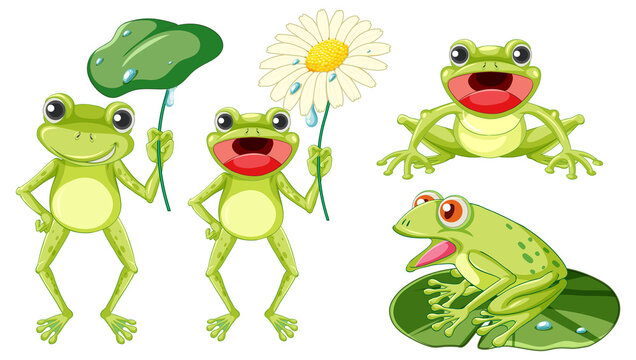 Set of different cute green frog in cartoon style
