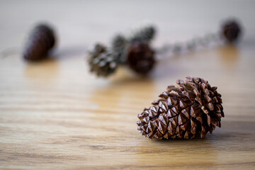 Natural pine cone closeup on a wooden table. Organic textured object, autumn season concept, dried pinecone decor. Selective focus on the details, blurred background.