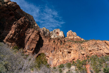 Fototapeta premium Looking Up to the Very Tall Zion Park Mountains Peaks