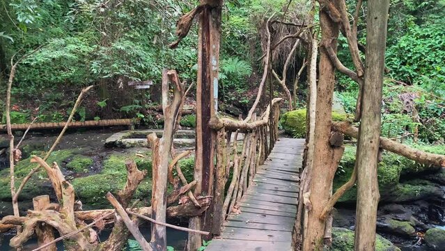 Wooden bridge made from tree on a green tropical rain forest with river stream