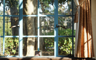 Room window with green garden view on a sunny day