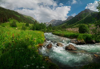 Fototapeta na wymiar A high-mountain river with clear water flows in a picturesque mountain valley with bright greenery.