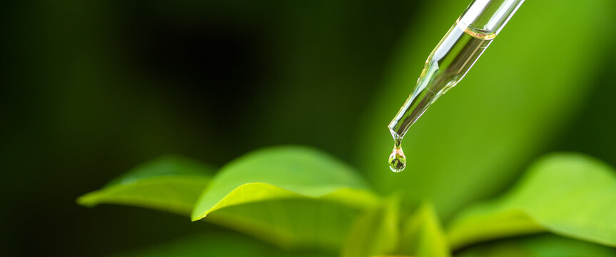 Dripping natural essential oil into a bottle on blurred background .medicine dropper, biomedical.