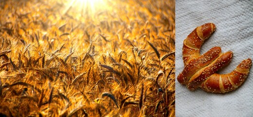 weizen brot preissteigerung