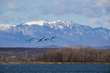 Obraz premium Dam lake in the winter