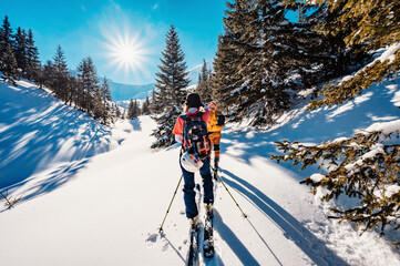 Mountaineer backcountry ski walking ski alpinist in the mountains. Ski touring in alpine landscape with snowy trees. Adventure winter sport.