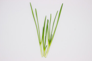 Green onions on white background