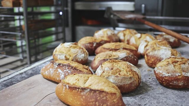 View of appetizing fresh baked bread in bakery