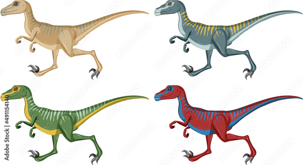 Poster a set of velociraptor dinosaurs on white background