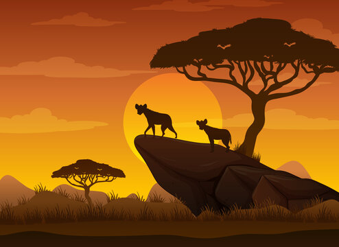 Hyenas silhouette at savanna forest