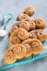 Biscuit. Delicious cottage cheese cookies. High quality photo