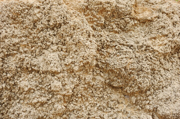 Porous texture of the sandstone on the seashore