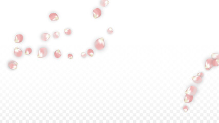 Pink Vector Realistic Petals Falling on Transparent Background. Spring Romantic Flowers Illustration. Flying Petals. Sakura Spa Design. Blossom Confetti. Design Elements for Wedding Decoration.