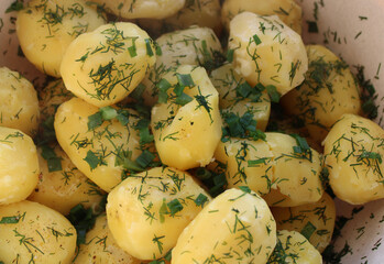 boiled potatoes with dill in a plate for a delicious healthy lunch