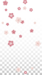Vector Realistic Pink Flowers Falling on Transparent Background. Spring Romantic Flowers Illustration. Flying Petals. Sakura Spa Design. Blossom Confetti. Design Elements for Wedding Decoration.