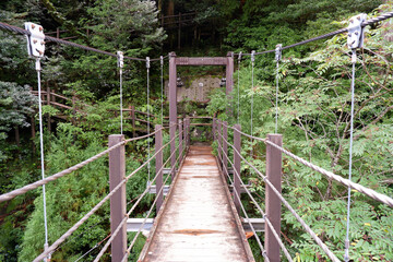 屋久島の吊り橋