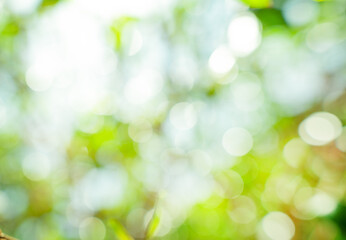 Bright glowing green nature background in the form of bokeh. Natural defocus art abstract blur tones with sun rays wallpaper.