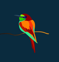 Vector Colorful Bird