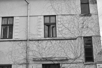 Architecture in the city of Chernivtsi in Ukraine