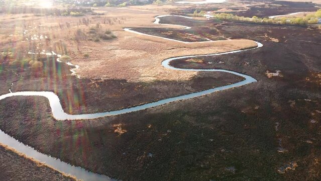 Burnt dry grass in the nature reserve of the river Seret, from a bird's eye view. Filmed in UHD 4k video.