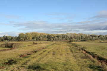Autumn landscape with meadow and trees under a cloudy sky in bourgoyen nature reserve, Ghent, Flanders, Belgium 