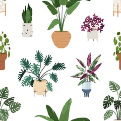 Fototapeta na wymiar Seamless pattern with home plants growing in pots. Leaf houseplants in planters print. House and office interior decoration in flowerpots, endless repeating background. Flat vector illustration