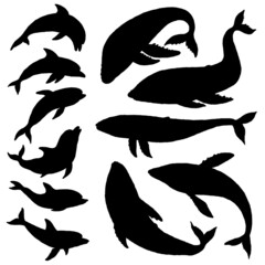 Whale and dolphin silhouette set. Jumping playful sea aquatic animal doodle vector Illustration.